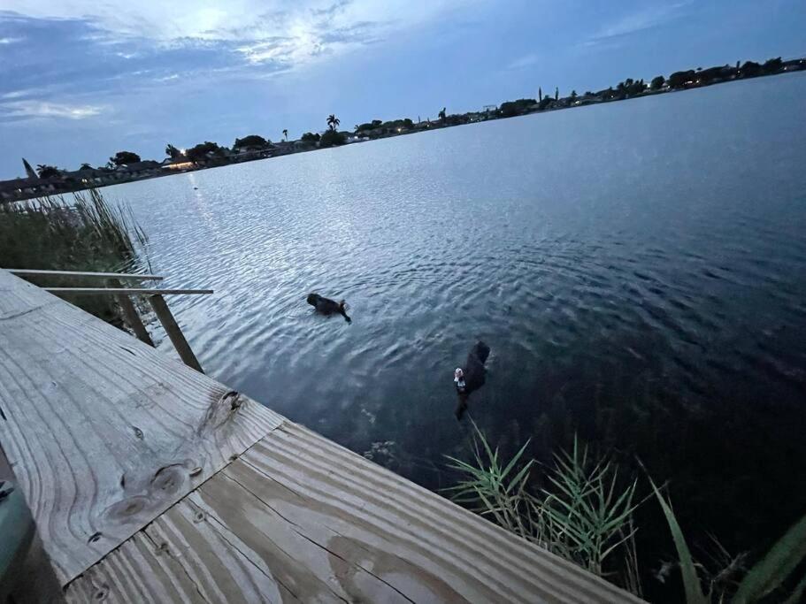 Supervilla - Lakefront - Sunsets, Kayaks, Grill Fort Lauderdale Eksteriør billede